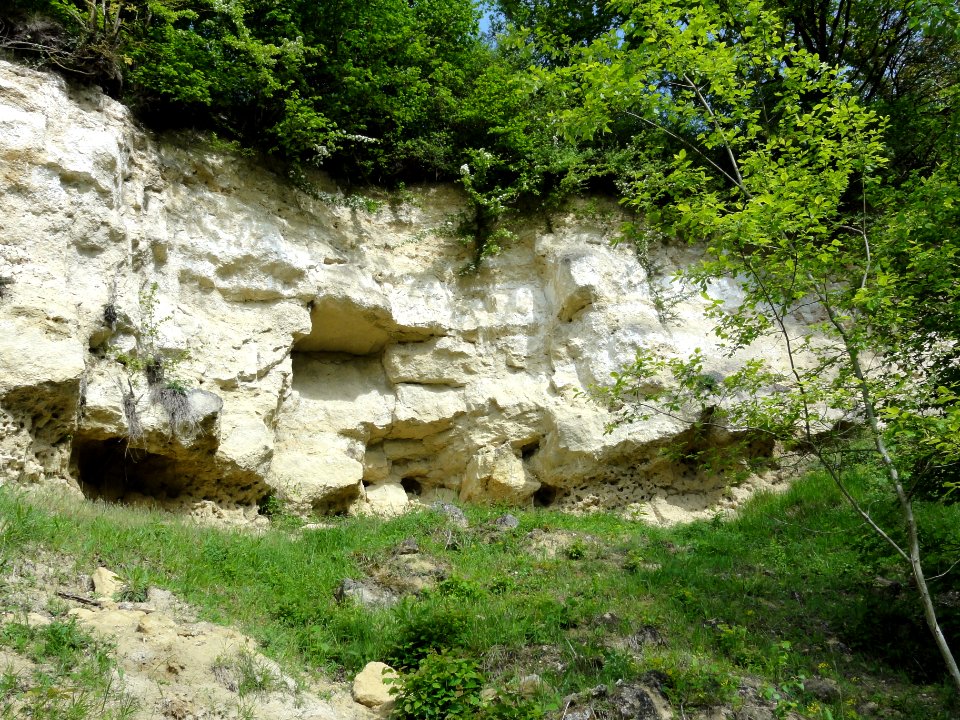 Montchâlons (Aisne) colline, détail roches