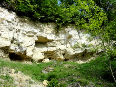 Montchâlons (Aisne) colline, détail roches