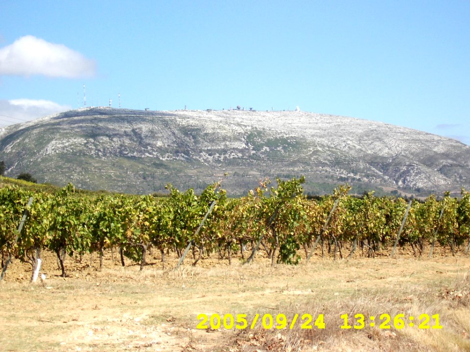 Montejunto Mount Landscaps And Vinyiards (119973941)