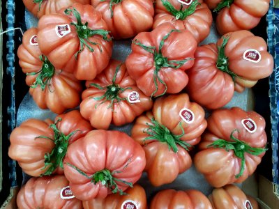 Monterosa tomatoes 2017 C