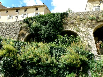 Montbrun-les-Bains Vu d'en bas 2