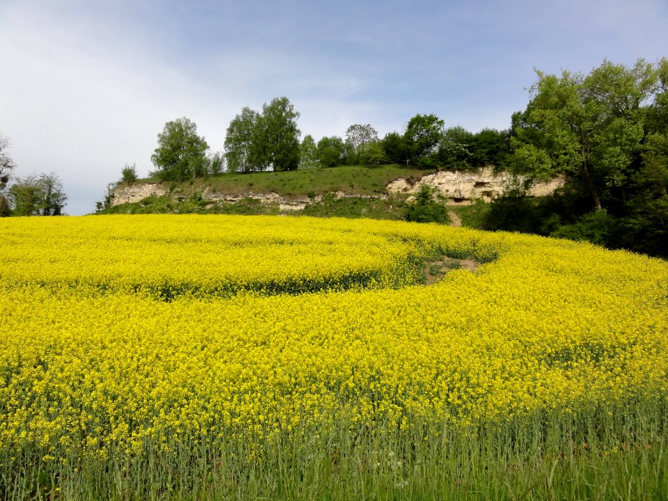 Montchâlons (Aisne) colline au-dessus du village