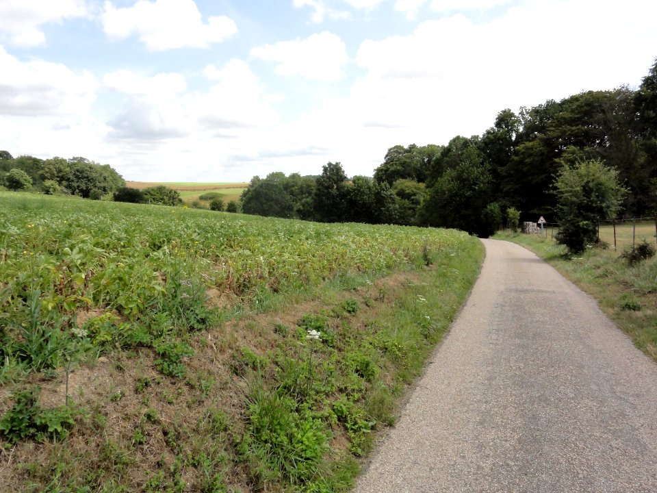 Mont-de-l'If (Seine-Maritime) paysage (01)