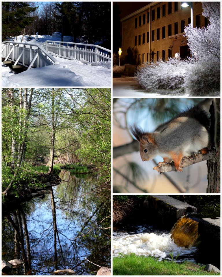 Montage Hupisaaret Oulu