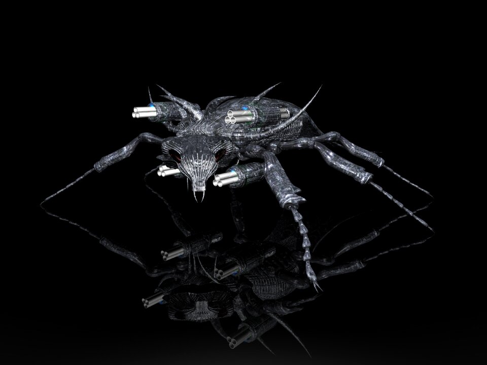 Beetle we make noise exotic insect
