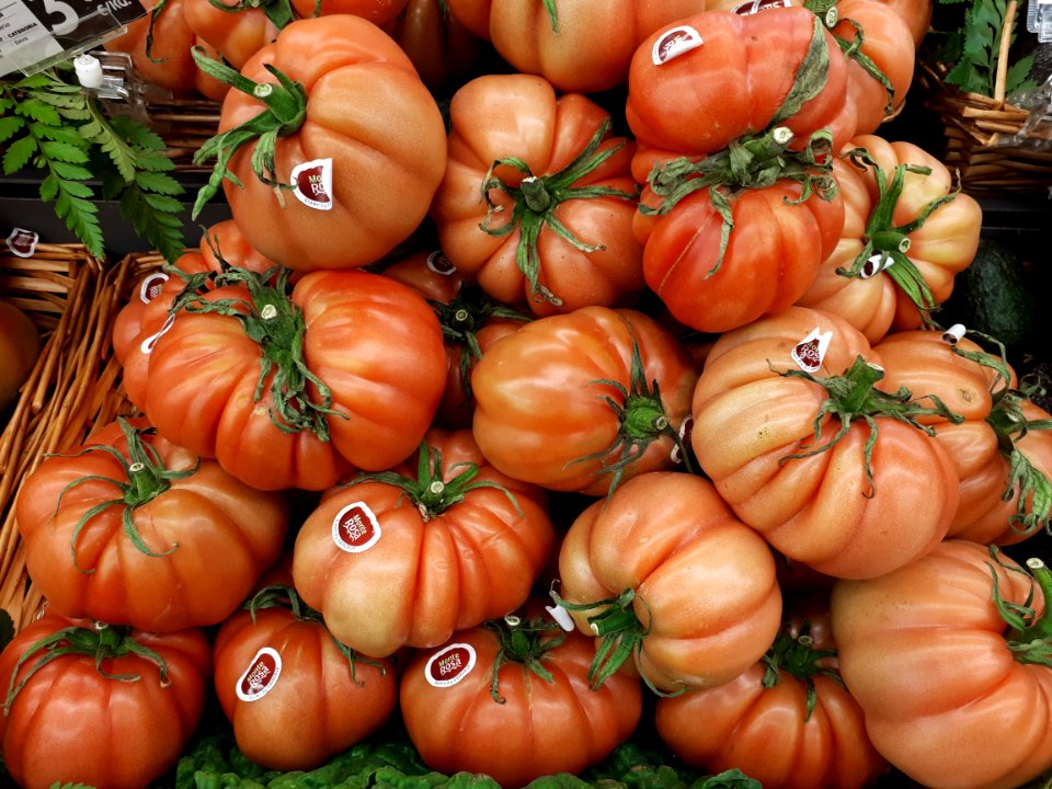 Monterosa tomatoes 2017 B