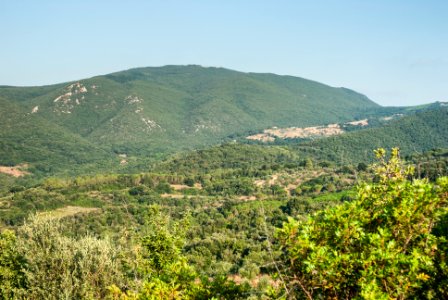 Monte Calvi (LI)
