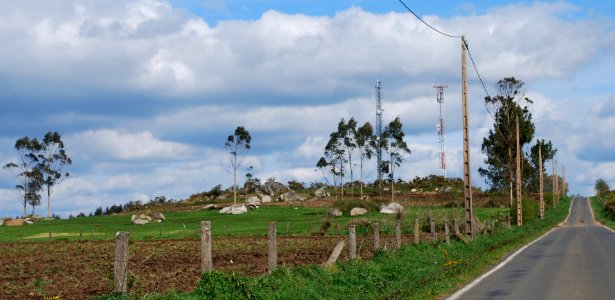 Monte Enxameado Curtis A Coruña
