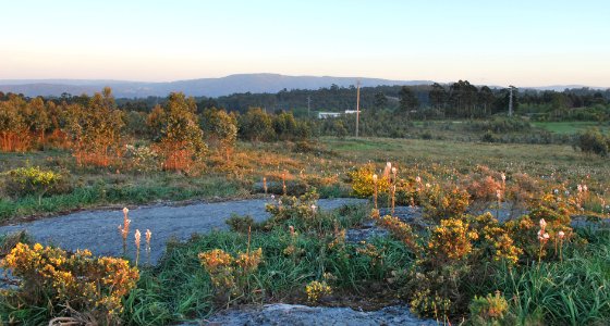 Monte Xalo visto dende A Zapteira