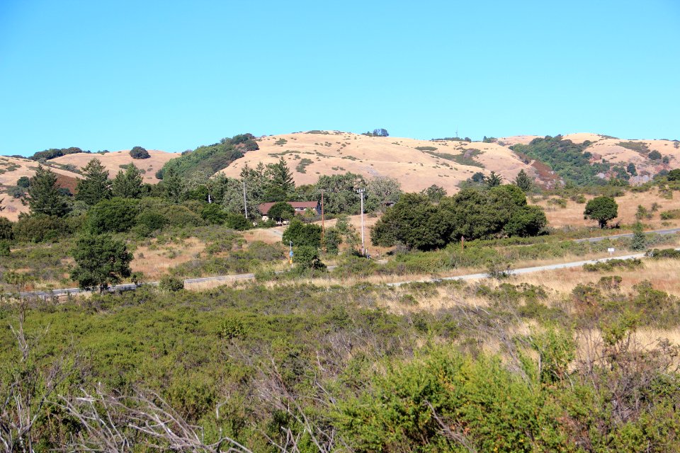 Monte Bello Ridge from Ipiwa trail, Aug 2019