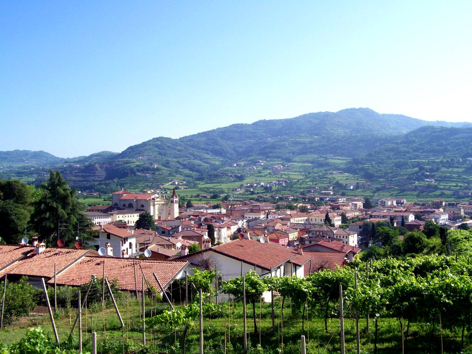 Montecchia veduta da ovest
