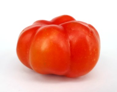 Montserrat tomato 2017 B1
