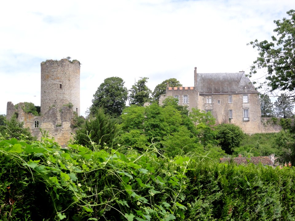 Montreuil-Bonnin (Vienne) château (2)