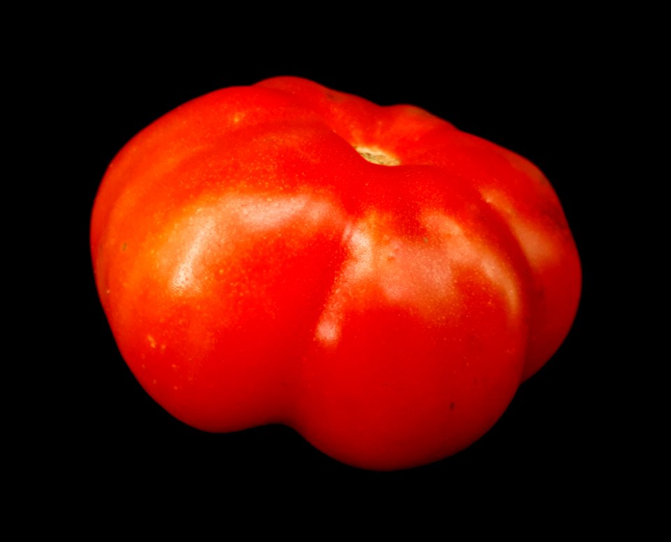 Montserrat tomato 2017 B3