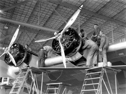 Monteurs werken aan de motoren van het vliegtuig Arend van Fokker in een hanga, Bestanddeelnr 190-0075