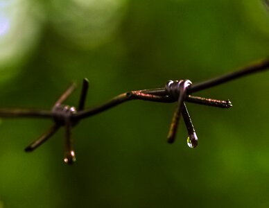 Drop wire spikes