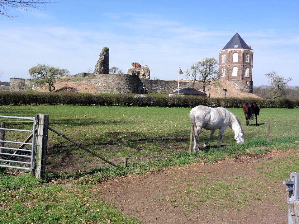 Montfort (Roerdalen) Rijksmonument 30069 kasteelruïne