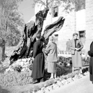 Monnik en gelovigen in de hof van Gethsemane, Bestanddeelnr 255-5279