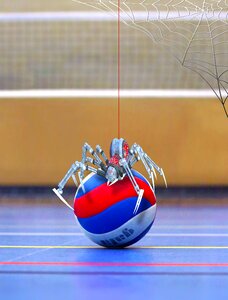 Sport robot ball photo