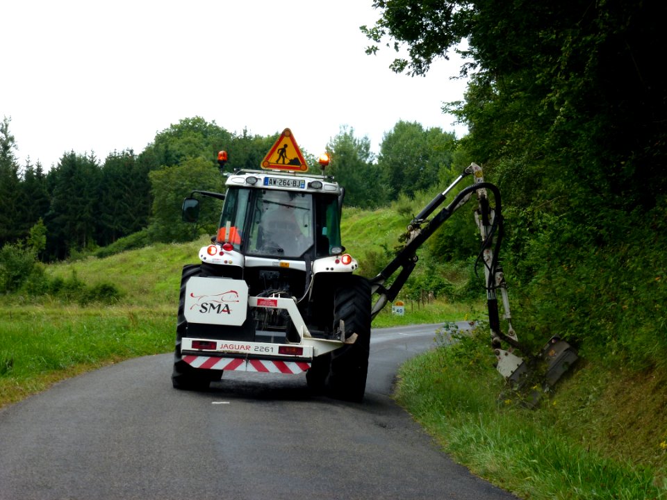 Montmeillant (Ardennes) fauchage en Bois d'Angerville (forêt de Signy)