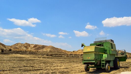 Rural landscape summer