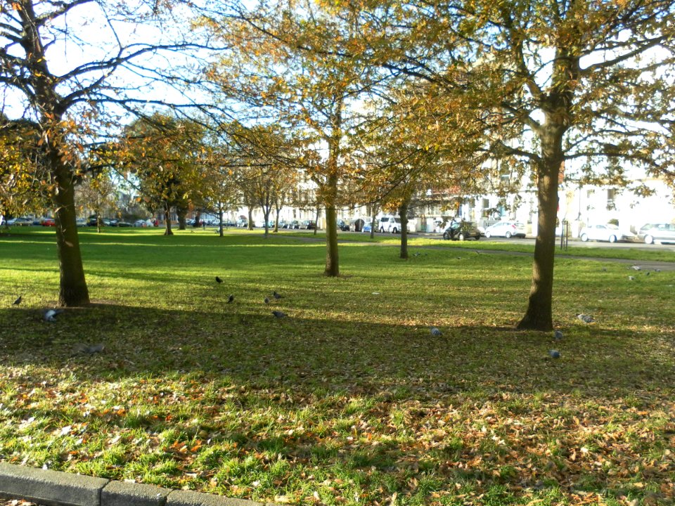 Montpelier Crescent, Brighton (Gardens)