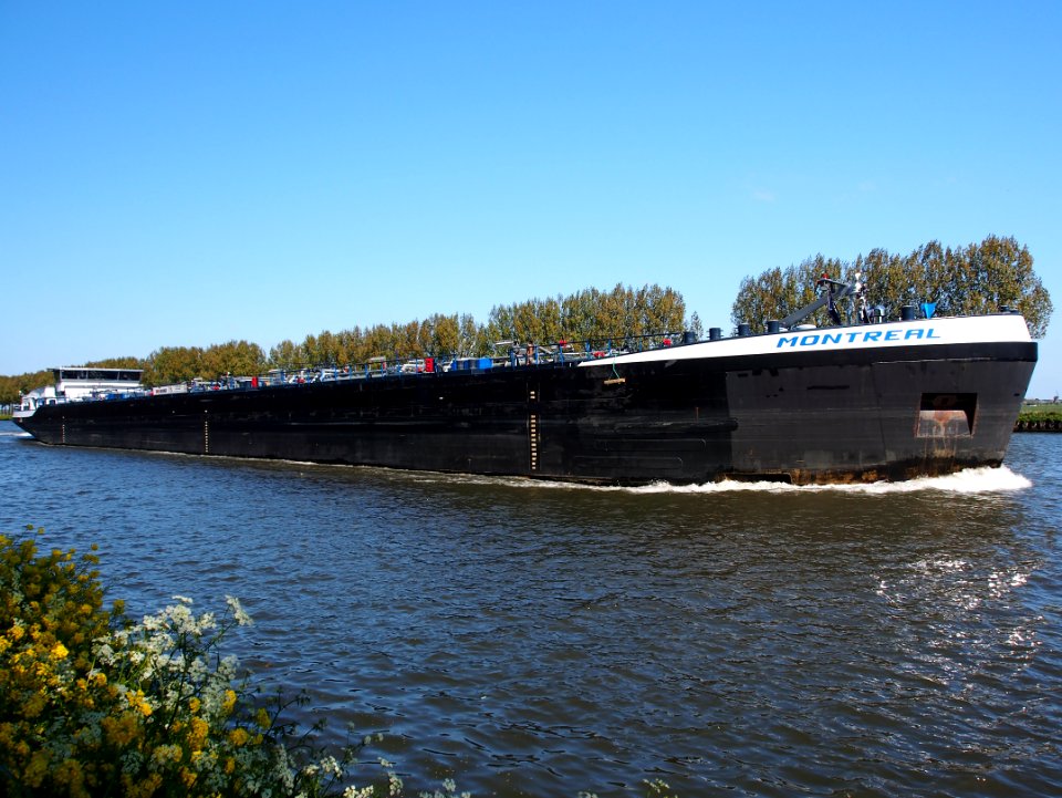Montreal, ENI 02333685 at the Amsterdam-Rhine canal, pic4