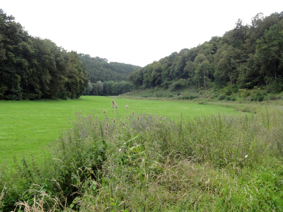 Montplonne (Meuse) paysage (g bois de Girauhan, dr bois du Corrois)