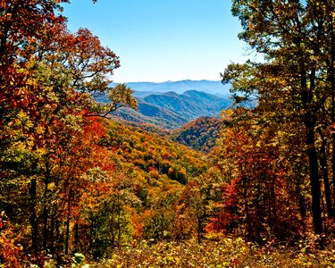Smoky mountains scenic foliage photo