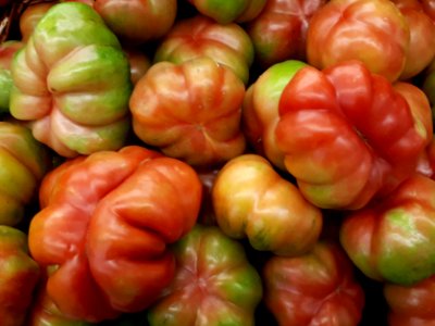 Montserrat tomatoes 2017 A3
