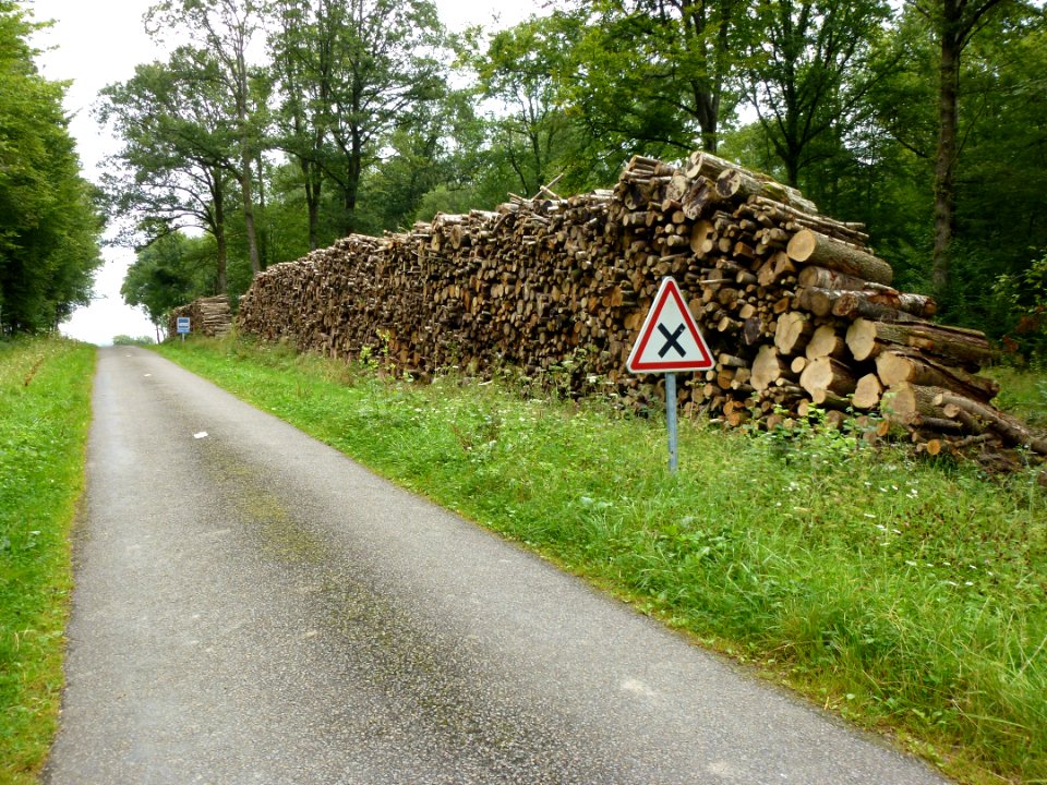 Montmeillant (Ardennes) en Grande forêt (forêt de Signy)