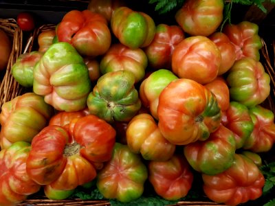 Montserrat tomatoes 2017 A1