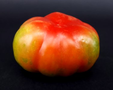 Montserrat tomato 2017 A4