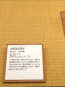 MOA Museum of Art 2018 (107)