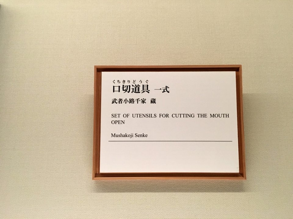 MOA Museum of Art 2018 (071)