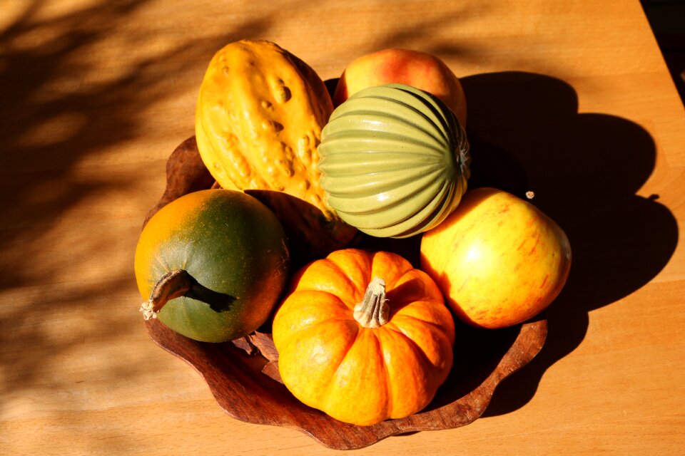 Autumn autumn colours squash