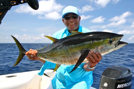 Costa rica yellowfin tuna photo