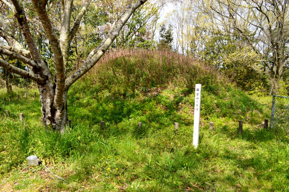 Miyayama Kofun Group (Kakogawa)-6, funkyu