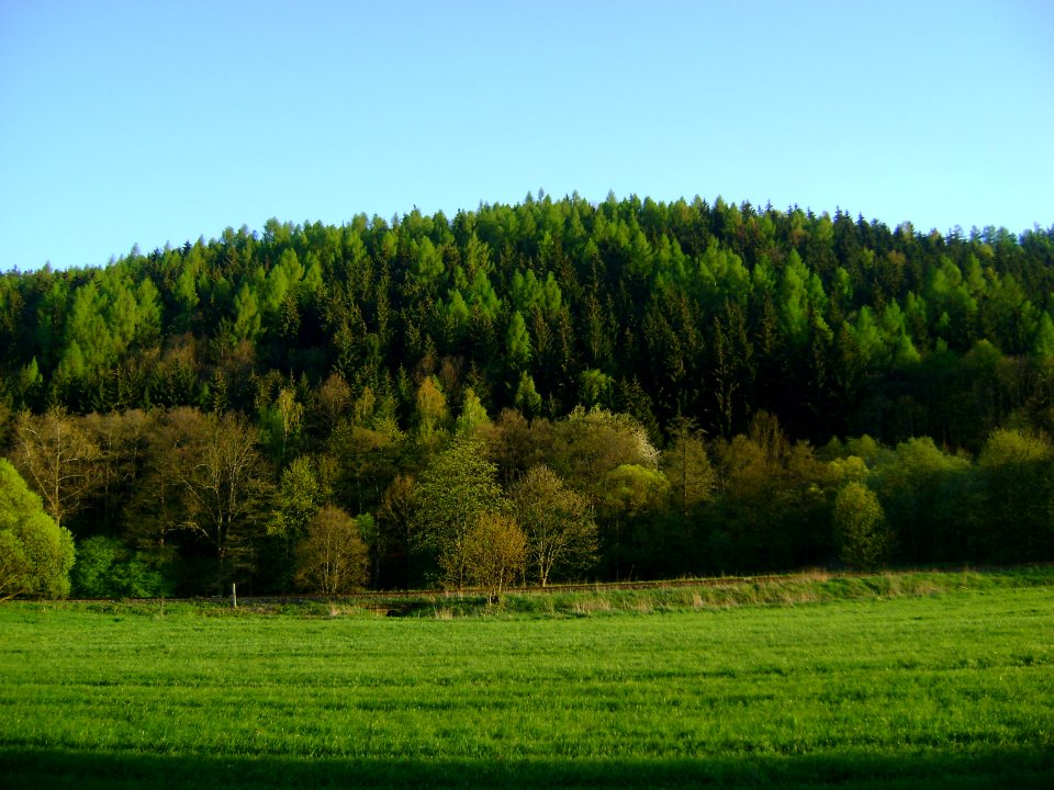 Mlýnský vrch mit