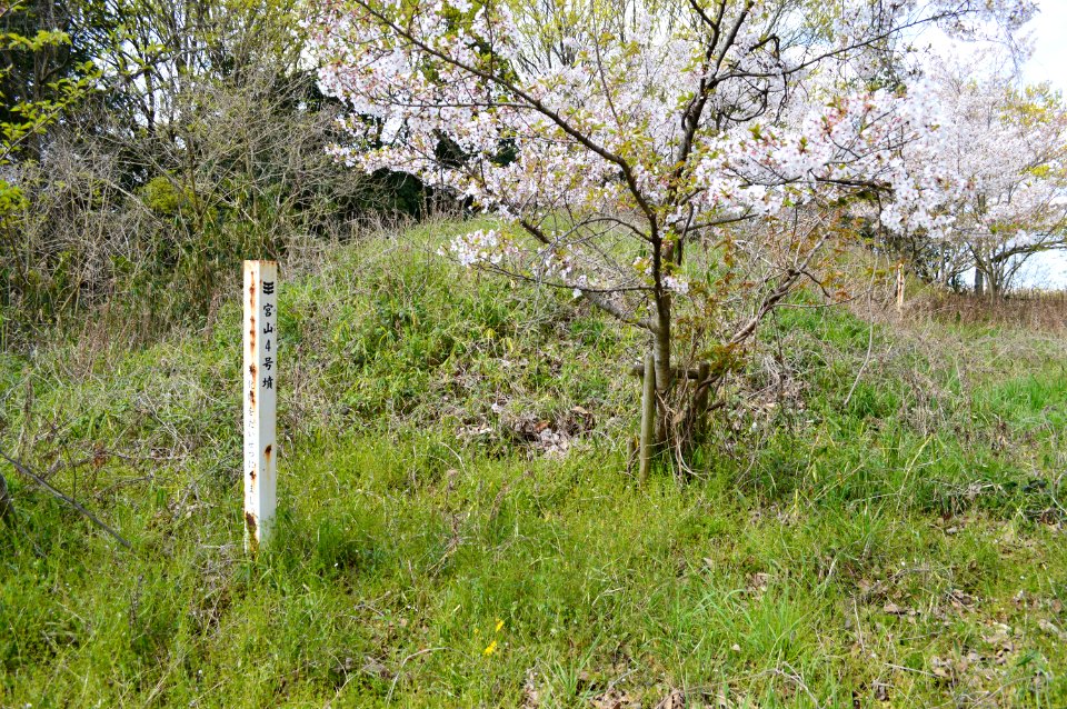 Miyayama Kofun Group (Kakogawa)-4, funkyu