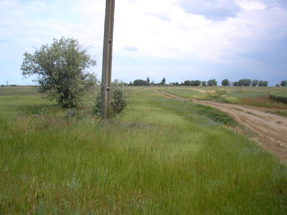 MityurinoCr 10