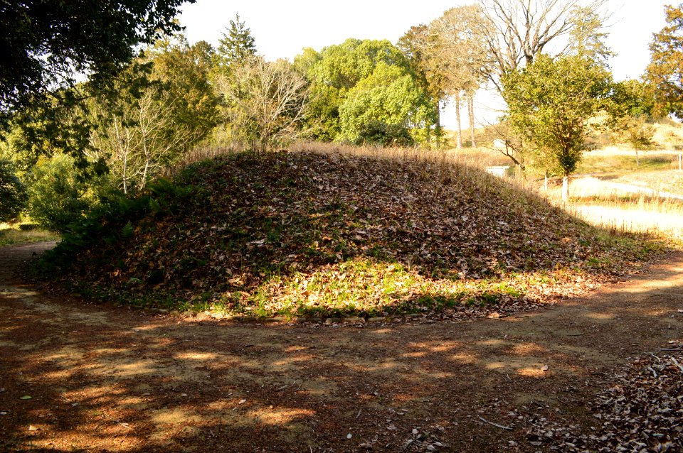 Miwayama Kofun Group-6, funkyu