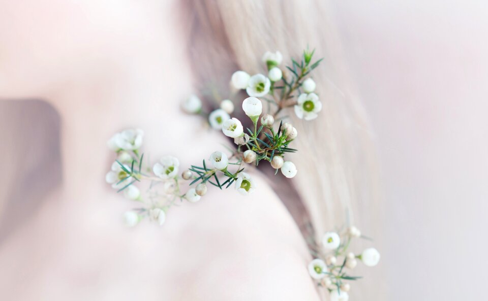 Plant tender spring