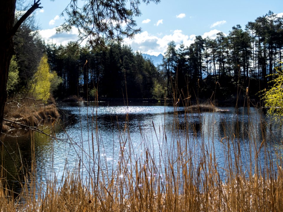 Mitterstieler See