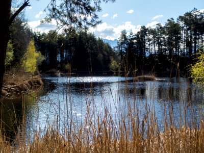 Mitterstieler See