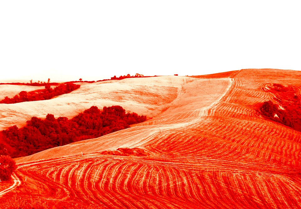 Mm00a 0907 Harvest (80211103)