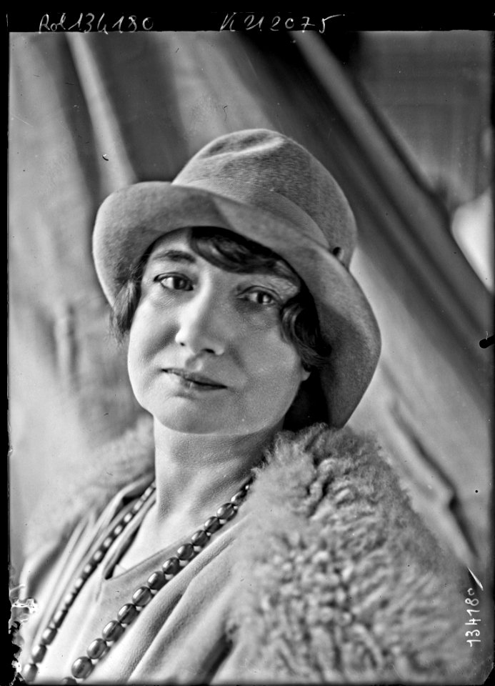 Mme Dominique Dunois