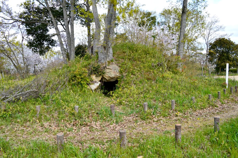 Miyayama Kofun Group (Kakogawa)-1, funkyu