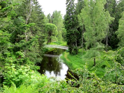 Mjösunds begravningsplats2