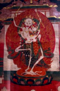 MNAAG Citipati Tibet 13012019